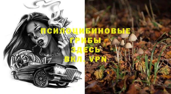 ПСИЛОЦИБИНОВЫЕ ГРИБЫ Богородск