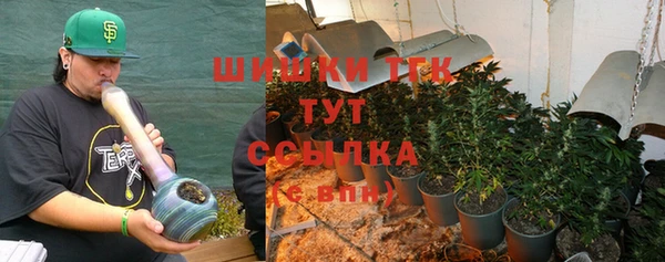 ПСИЛОЦИБИНОВЫЕ ГРИБЫ Богородск