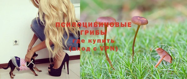 винт Богородицк