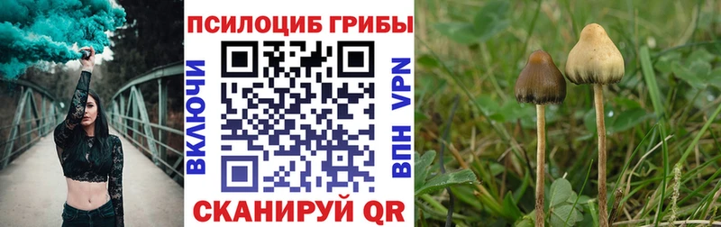 Купить  Нягань  Псилоцибиновые грибы GOLDEN TEACHER 